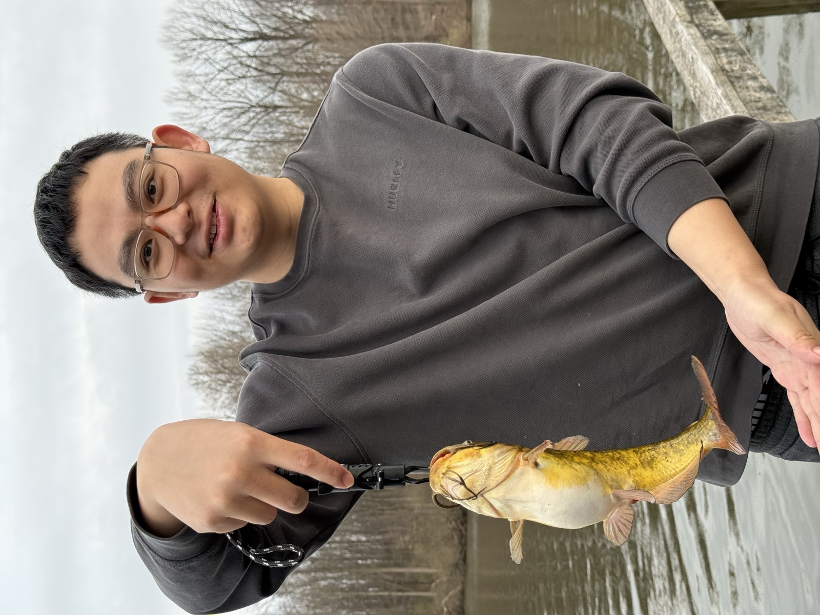 Bullhead catfish