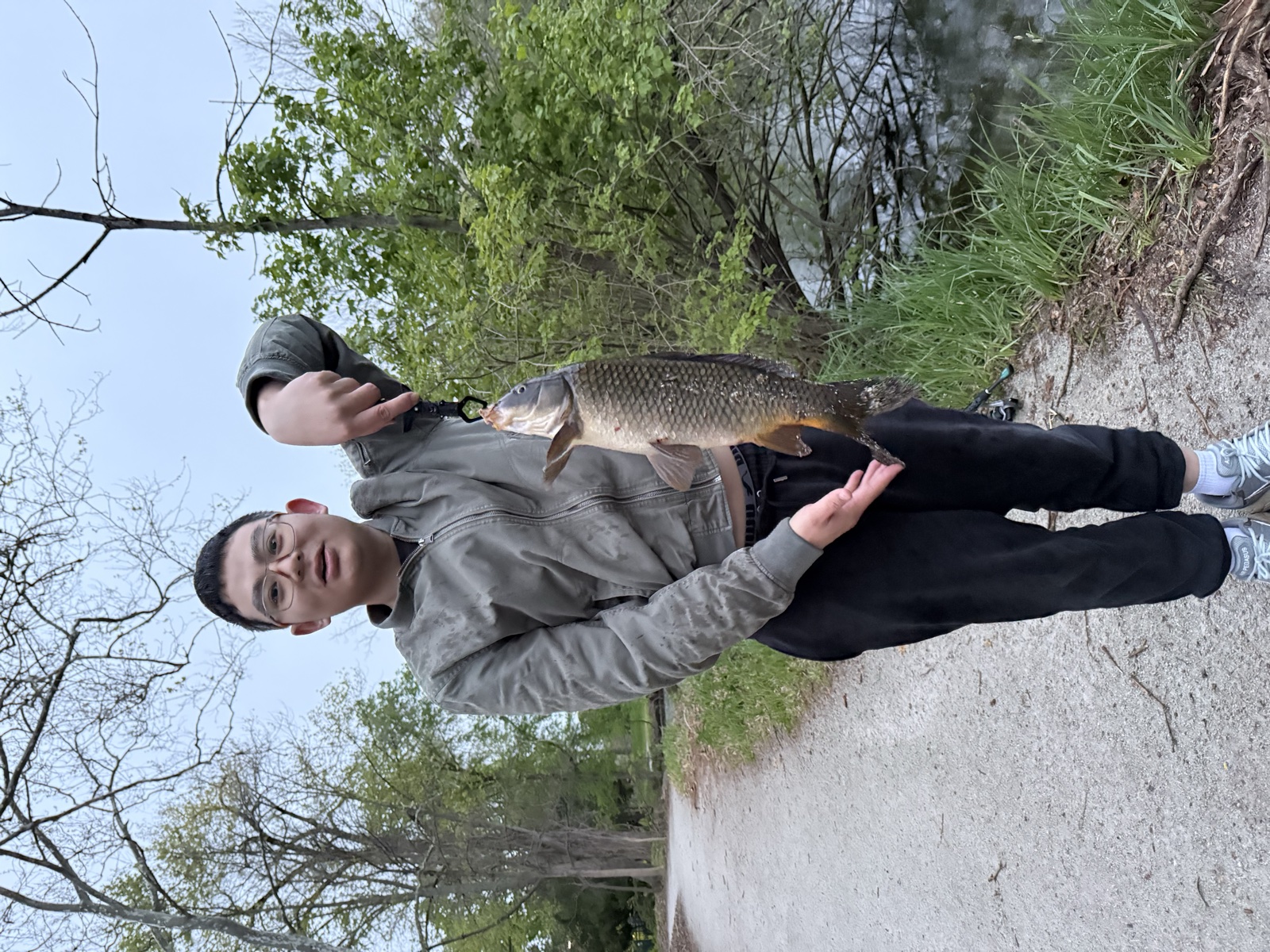 Common carp